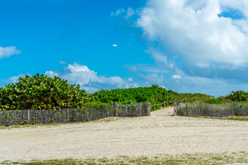 Fototapeta premium Miami beach