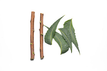 Medicinal Neem leaves and twigs isolated on white background