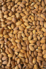 almond nut background, macro shot