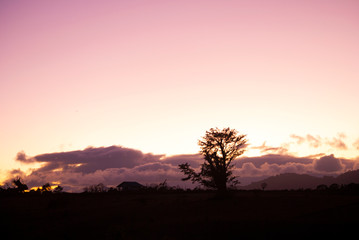 Dramatic sunset in rural area of ​​Guatemala, clear sky cold night of January 2020