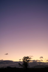 Dramatic sunset in rural area of ​​Guatemala, clear sky cold night of January 2020