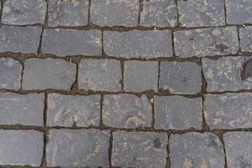 Fototapeta premium paving stones close up. graphic gray background.