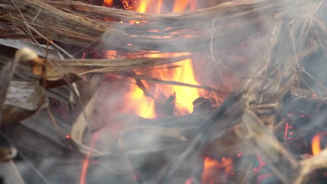 Bushfire burning fire fighting footage slow motion