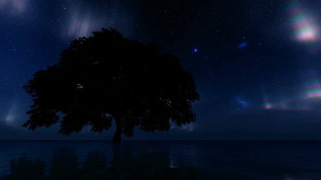 Single tree northern lights. Summer background. Galaxy, nebulae, stars. Northern landscape. Dark background. Beautiful universe. Planets, stars Beautiful autumn nature 4k