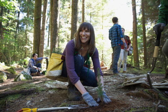 Smiling volunteer planting tree in woods