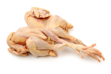Raw fresh chicken isolated on white background 