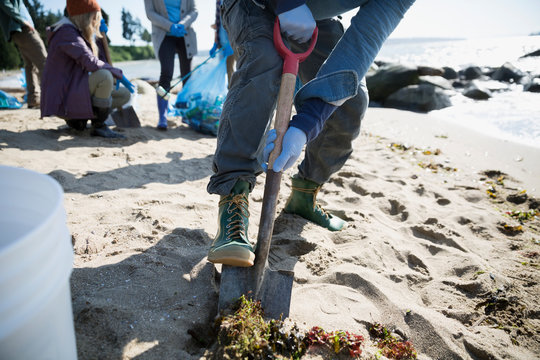 Beach cleanup volunteering using shovel