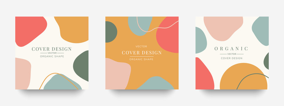 Creative cover design vector  for Instagram story template ,Social media posts, Story and photos, Editable collection backgrounds with Tropical leaf 