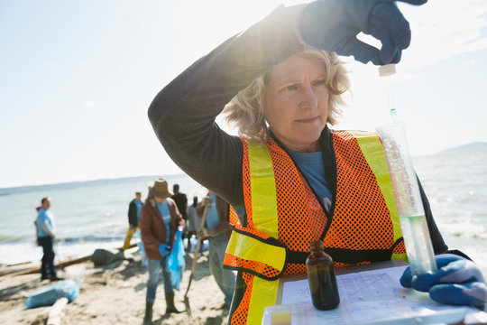 Environmental scientist testing water on sunny beach