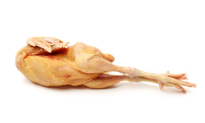 Raw fresh chicken isolated on white background  © zcy