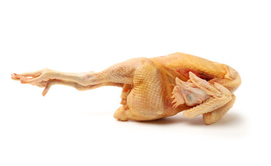 Raw fresh chicken isolated on white background 
