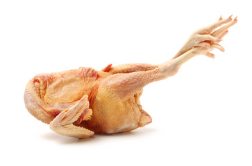 Raw fresh chicken isolated on white background  © zcy