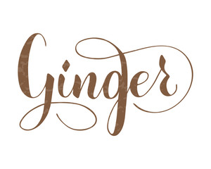 Obraz premium Vector hand written ginger text isolated on white background. Kitchen healthy herbs and spices for cooking. Script brushpen lettering with flourishes. Handwriting for banner, poster, product label