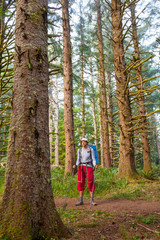 Fototapeta premium Hike in the forest