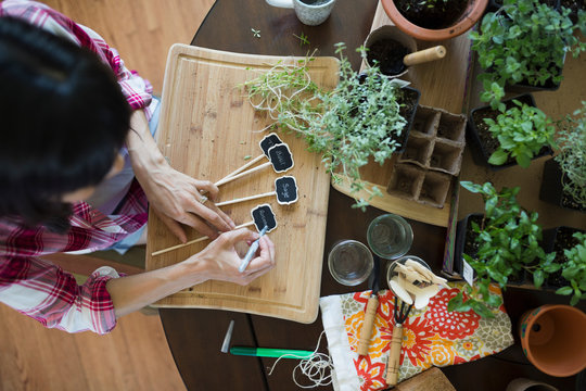 Woman Preparing Plant Markers At Table