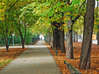 The Green Prater - A large public park in Vienna (Wien) - Vienna, Austria