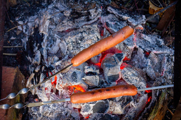 Sausages on skewers are grilled on the coals of a fire. Picnic in the nature.