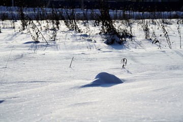winter landscape in sun light
