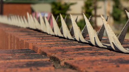 metal security spikes on top of a brick wall