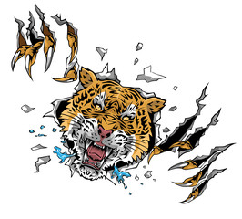 Tiger face with claw attack vector graphic clipart design