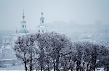 View on frosty bush by Church in winter foggy morning