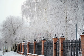 bricks fence in snow under frosty tree branches