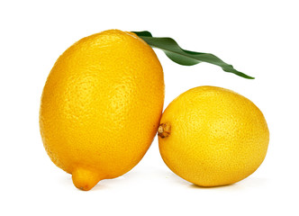 Whole lemon fruit isolated on white background