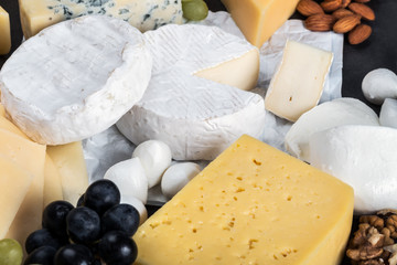 different types of brine, young, soft, hard, rennet and other cheeses with fruits and nuts