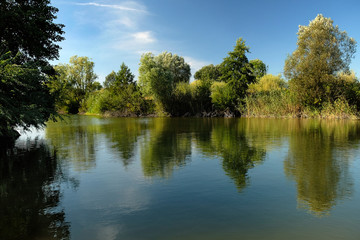 Fototapeta na wymiar River on a summer day