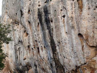 Massive rocks that make up thee outer layer of the earth's surface and whose movement along faults triggers earthquake