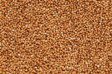 Buckwheat background. A lot of buckwheat in the form of texture