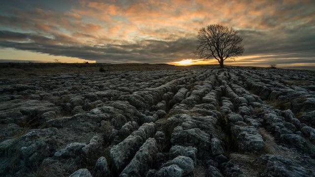 timelapse of alone Ash Tree on Limestone Pavement above Malham village in the Yorkshire Dales.