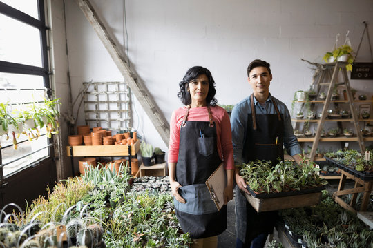 Portrait confident shop owners holding tray of potted plants in plant shop