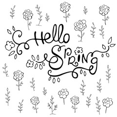 Ink pen lettering Hello Spring and flowers on white background. Vector illustration. Perfect for greeting card, invitation, postcard, print.