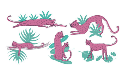 Leopard Standing and Lying on Palm Leaves Vector Set. Stylized Funny African Animal