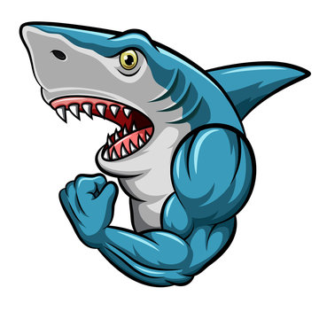 Cartoon strong shark mascot design