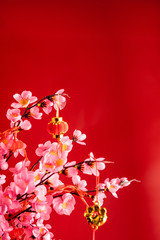 cherry blossom tree with chinese new year accessories hanging on the branch