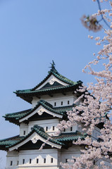 弘前城の桜