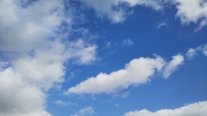 DSC_1539