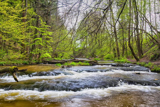 Szumy na Tanwi (Cascades on Tanew River) Roztocze (Roztochia), Roztoczanski Park  Narodowy (Roztocze National Park), Poland