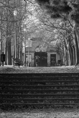 Stairs in the park.