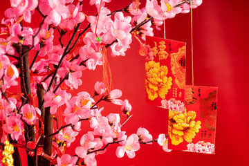 Chinese New Year Decoration. Red Packet on Plum Branch,Character on Packet Symbolizes Good Luck.