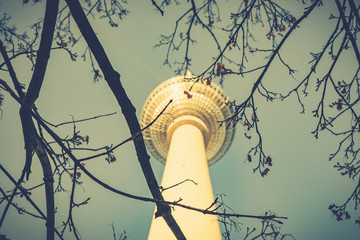 Berlin tower through the trees