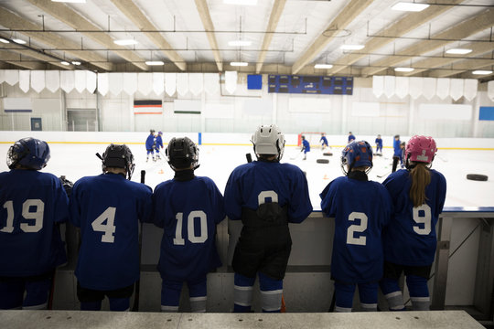 Boys and girl ice hockey players standing watching game from bench