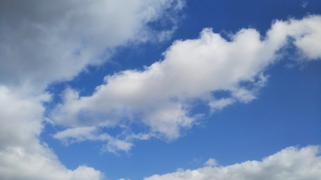 DSC_1512
