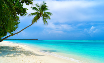 Fototapeta na wymiar Shadows of palm trees on the sandy seashore of tropical paradise