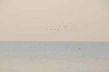 Vacation on sea with waves and seagulls