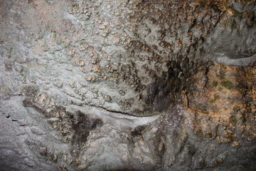 鍾乳洞内部の風景