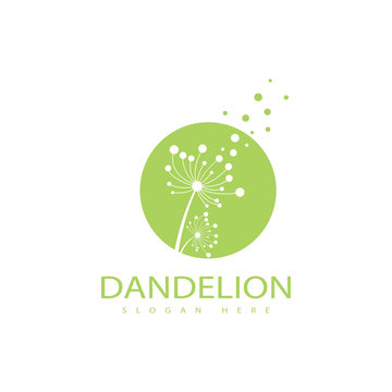 Dandelion vector icon design