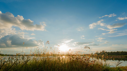 Beautiful sunset with dried grass landscape
